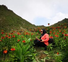 Hakkari'ye gelen doğaseverler, eşsiz doğal güzellikleri keşif gezilerine katıldı