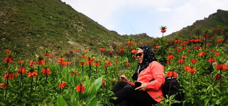 Hakkari'ye gelen doğaseverler, eşsiz doğal güzellikleri keşif gezilerine katıldı