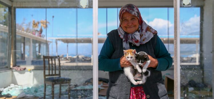 Hatay'da 70 yaşındaki kadın 17 yıldır sahipsiz kedilere bakıyor