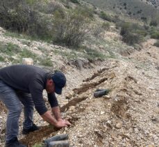 Hırsızlık yaptığı iddia edilen kişi “fidan dikme” şartıyla ceza almaktan kurtuldu