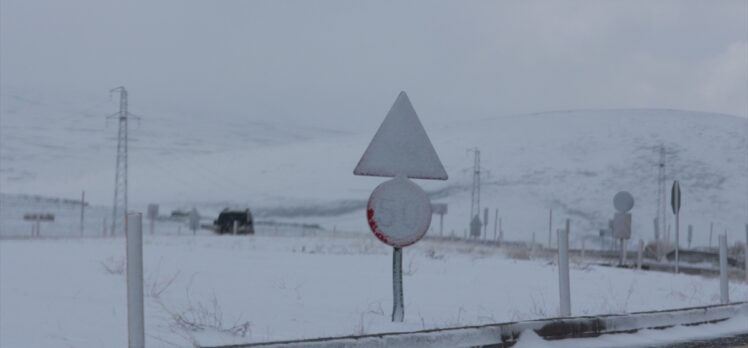 Kars ve Ardahan'da mayısta kar yağdı