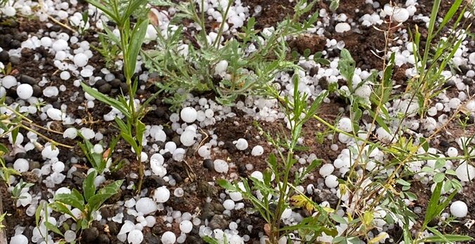 Malatya'nın Hekimhan ilçesinde dolu etkili oldu