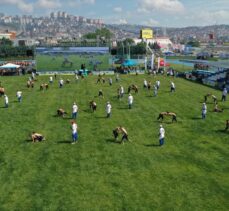 15. Sekapark Altın Kemer Yağlı Güreşleri başladı