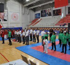 Anadolu Yıldızlar Ligi'nde karate grup müsabakaları Batman'da başladı