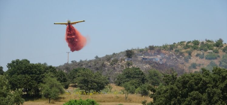 Çanakkale’de makilik alanda çıkan yangın zarara yol açtı