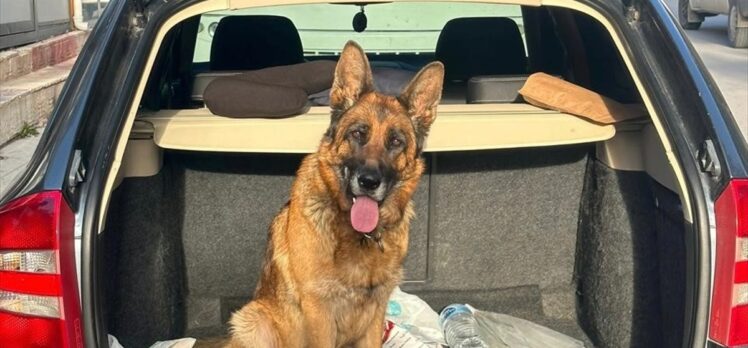 Çorum'da evden köpek çaldığı iddia edilen 2 zanlı tutuklandı