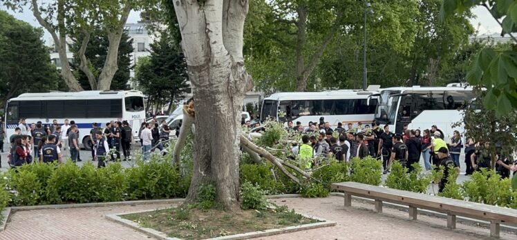 Fatih'te kırılan ağaç dalının altında kalan kadın yaralandı