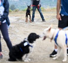 İzmir'de köpekle kros etkinliği düzenlendi