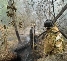 Kazakistan 60 bin hektarlık alanı aşan orman yangınıyla mücadele ediyor