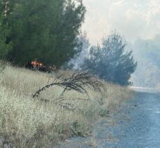 Kilis'te ormanlık alanda çıkan yangın kontrol altına alındı