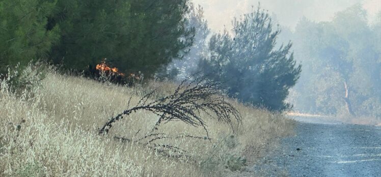 Kilis'te ormanlık alanda çıkan yangın kontrol altına alındı