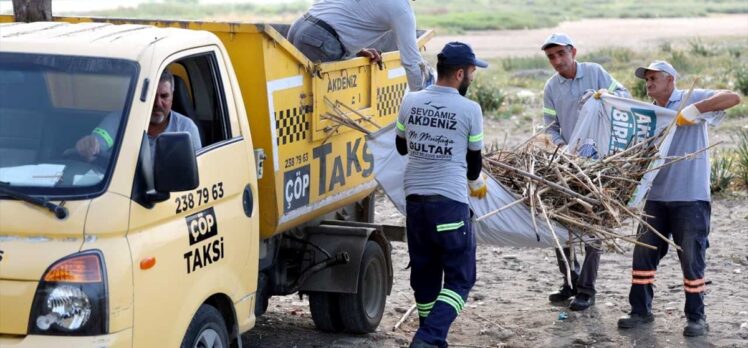 Mersin'de deniz kaplumbağalarının yuvalama alanları temizlendi