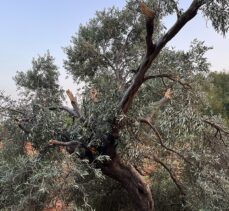 Muğla'da cayrokopterin düşmesi sonucu 2 kişi yaralandı