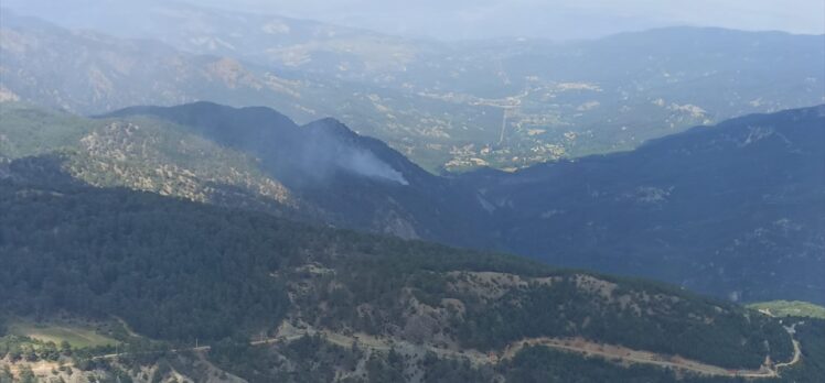 Muğla'da çıkan yangında 5 dönüm ormanlık alan zarar gördü