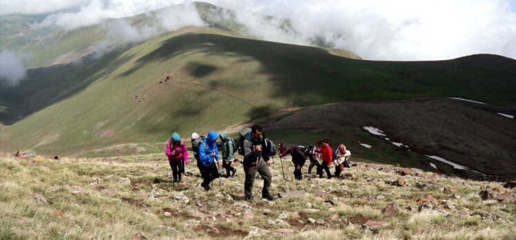 Yağışlarla yeşillenen Aras Dağları doğa tutkunlarını ağırlıyor