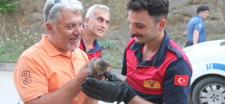 Amasya'da otomobilin motor bölümüne sıkışan 4 kedi yavrusu kurtarıldı