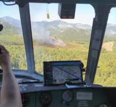 Antalya'da orman yangını çıktı