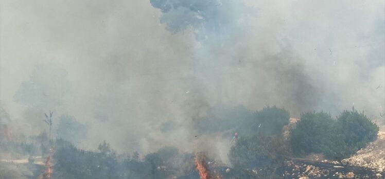 Antalya'da ormanlık alanda başlayan yangına müdahale ediliyor