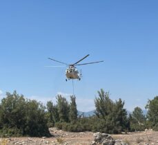 Antalya'nın Demre ilçesinde orman yangını çıktı