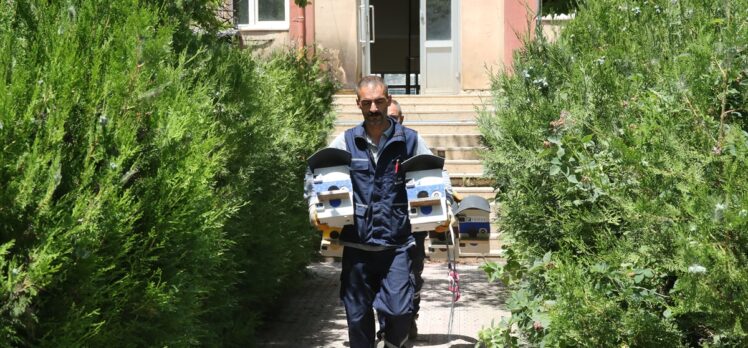 Bitlis'te atıl elektrik panoları, kuş yuvasına dönüştürülüyor