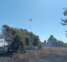 Bodrum'da makilik ve otluk alanda yangın çıktı