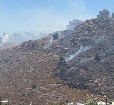 Bodrum'da otluk alanda çıkan yangın söndürüldü