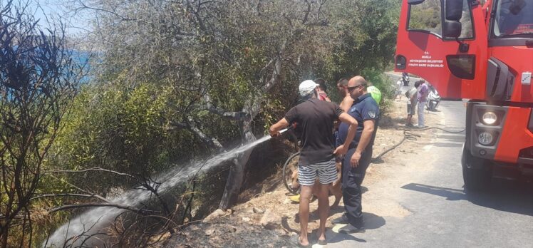 Bodrum'da yangın çıkardığı iddia edilen şüpheli gözaltına alındı