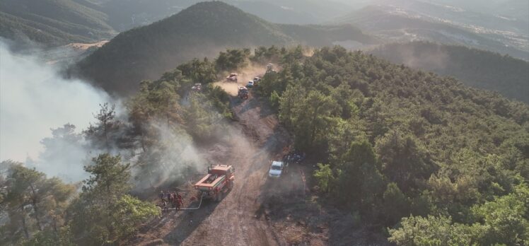 GÜNCELLEME – Bolu'da yıldırım düşmesi sonucu çıkan orman yangını kontrol altına alındı