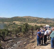 Çanakkale'nin Ayvacık ilçesinde orman yangını