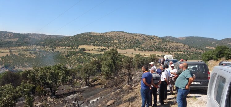 Çanakkale'nin Ayvacık ilçesinde orman yangını