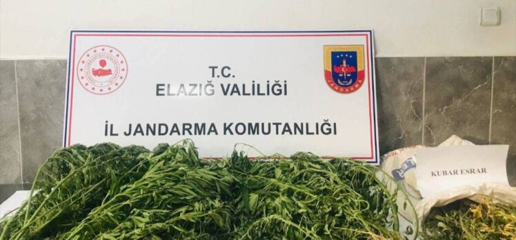 Elazığ'da ektiği Hint kenevirlerini sulayan şüpheli suçüstü yakalandı