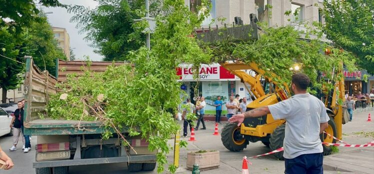 Eskişehir'de kuvvetli rüzgar ağacı devirdi