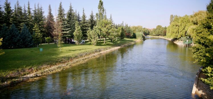 Eskişehir'de Porsuk Çayı'na düşen iki arkadaş kurtarıldı