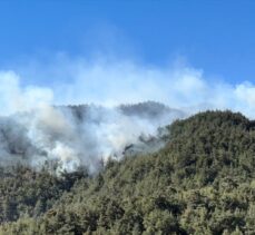 GÜNCELLEME – Hatay'ın Belen ilçesinde dün çıkan orman yangınına müdahale sürdü