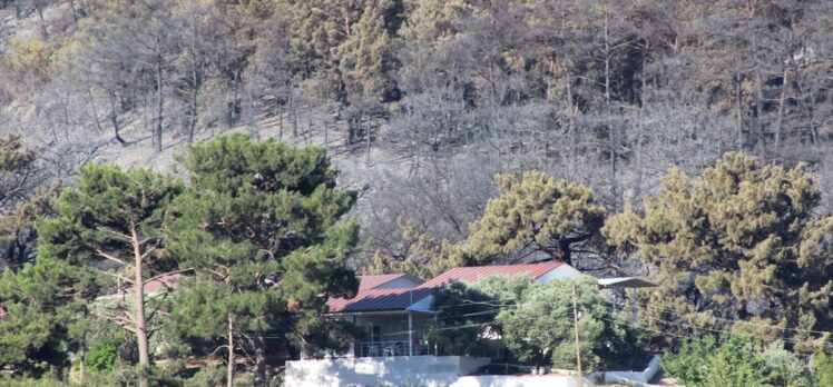 Hatay'ın Belen ilçesinde dün çıkan orman yangınına müdahale sürüyor