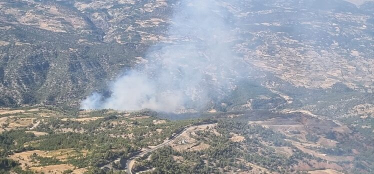 Kahramanmaraş'ta çıkan orman yangınına müdahale ediliyor