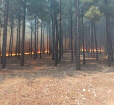 Kahramanmaraş'ta ormanlık alanda yangın çıktı