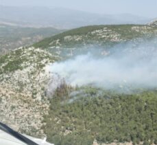 Milas'ta ormanlık alanda yangın başladı