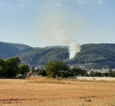 Muğla'da orman yangını çıktı