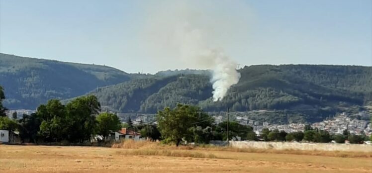 Muğla'da orman yangını çıktı