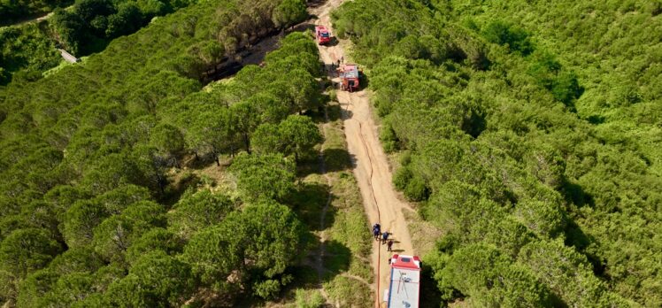 GÜNCELLEME – Sultangazi'de ormanlık alanda çıkan yangın söndürüldü