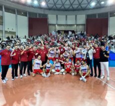 Voleybol: FIVB Challenger Kupası