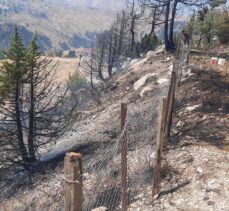 Alanya'da ağaçlık alanda çıkan yangın söndürüldü