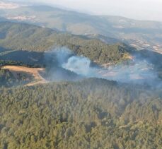 Balıkesir İvrindi'de orman yangını çıktı