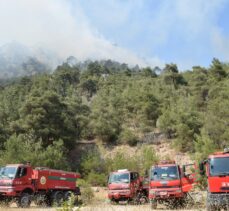 GÜNCELLEME – Bilecik'te çıkan orman yangınına müdahale ediliyor