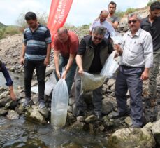 Çanakkale'de 1 milyon 250 bin aynalı sazan balığı yavrusu göletlere bırakıldı