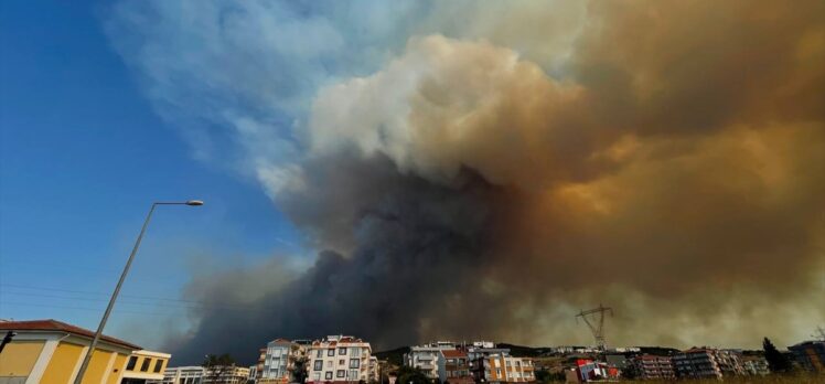 Çanakkale'deki orman yangınına 36 hava aracıyla müdahale ediliyor