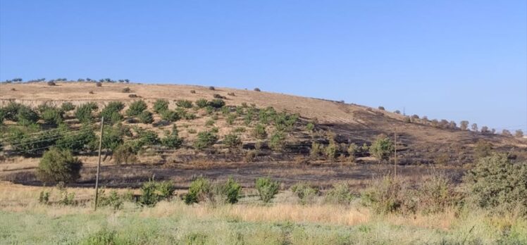 Elazığ'da çıkan yangında 250 dönüm ekili alan zarar gördü