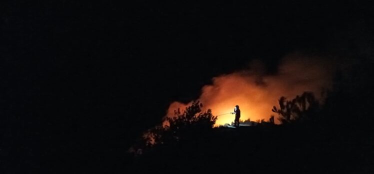 Hatay'da makilik alanda çıkan yangın söndürüldü