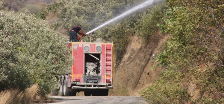 Hatay’da zeytin bahçesinde çıkan yangın söndürüldü